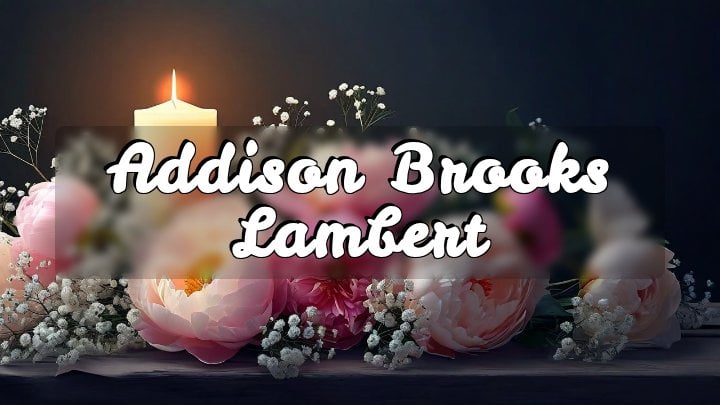 Addison Brooks Lambert, Jackson, TN